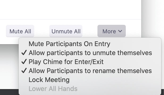 Settings for locking your meeting with Zoom